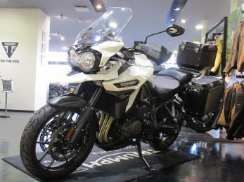 トライアンフ横浜港北 Triumph